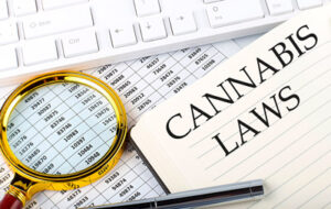 Read more about the article Marijuana Gets Its Day In Federal Court