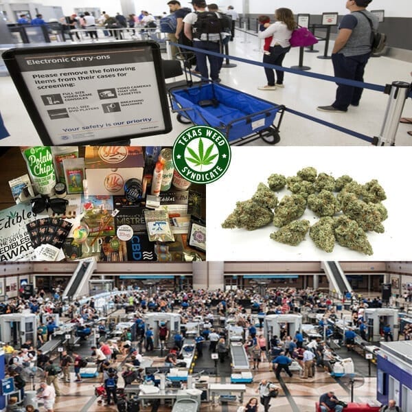 Marijuana & The TSA