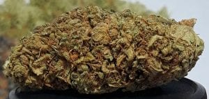 Read more about the article THCA Compared to THC & Where do the Two Meet?