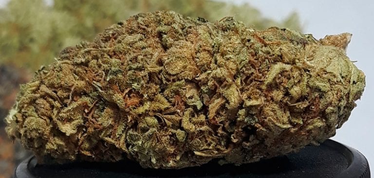 Defintive Guide On CBD Flower & Smoking It!