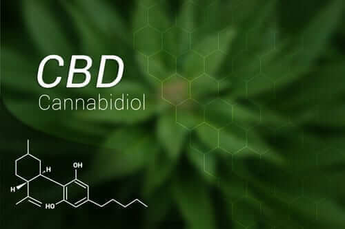What Is CBD?