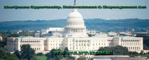 Read more about the article MORE Movement on Legalizing Marijuana Federally!