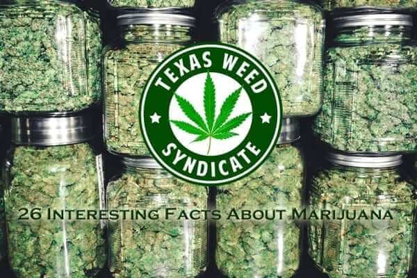 26 Interesting Marijuana Facts!