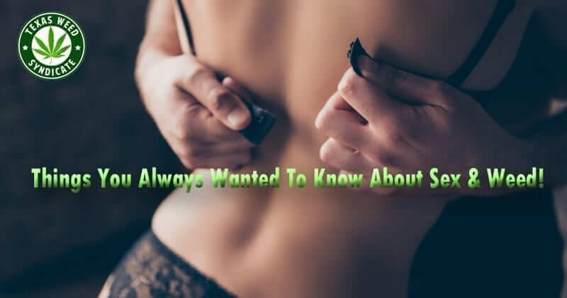 FAQS About Cannabis & Sex