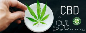 Read more about the article Curious If CBD Pain Creams & Topical’s Actually Work?