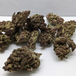 No Drama Llama THCA Flower (GreenHouse)