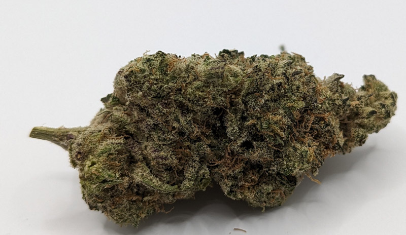 Cherry Pie THCA Flower