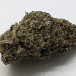 Rainbow Sherbert THCA Flower (Indica)