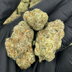 Punch Breath THCA Flower (Indica Hybrid)