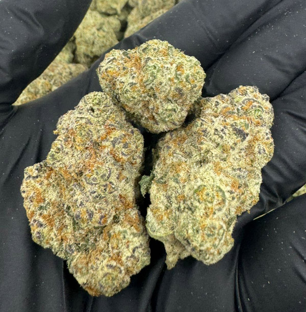 Punch Breath THCA Flower (Indica Hybrid) - Image 2