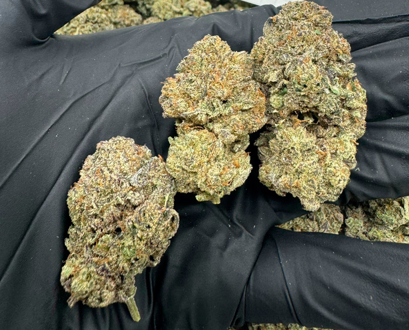 Cake N Bake THCA Flower