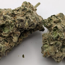 Donnie Burger THCA Flower (Indica)
