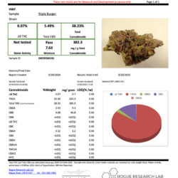 Triple Burger THCA Flower Indica Dominant Hybrid