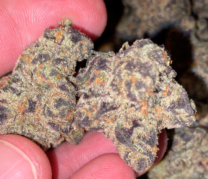 Wet Wet THCA Flower For Sale