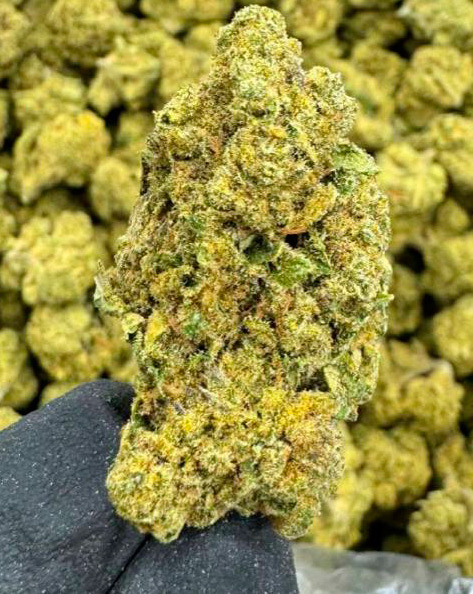 Cheetah Piss THCA Flower