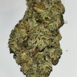Hot Mint Sundae THCA Flower 50/50