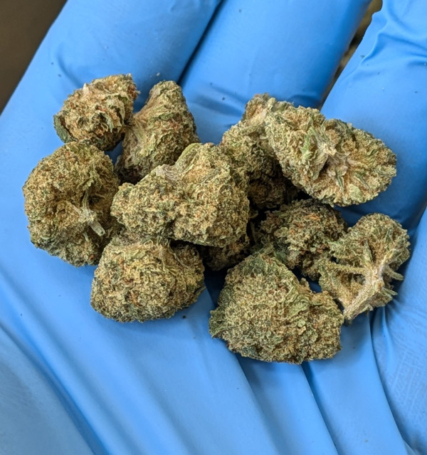 Illuminati THCA Flower