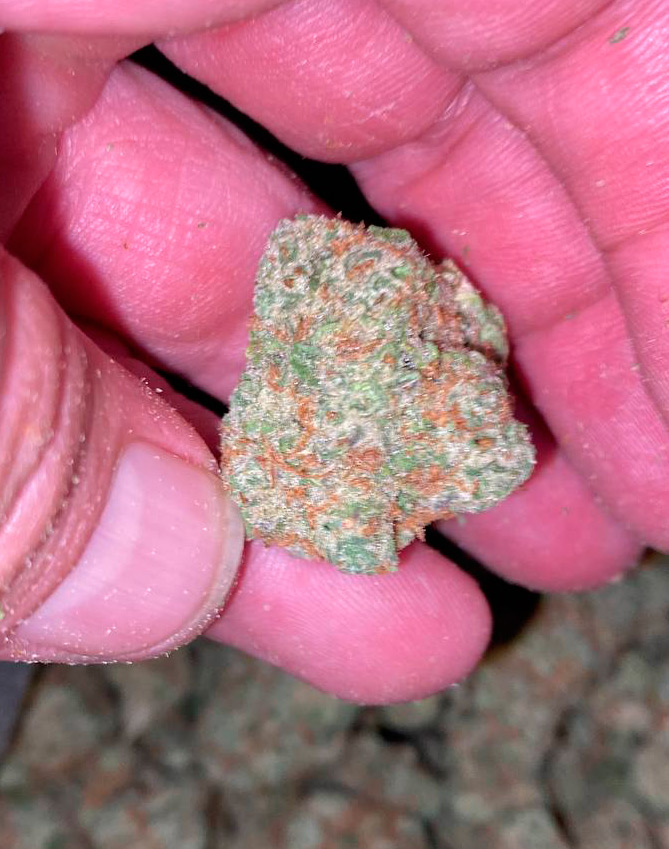 Guava Papaya AAA Exotic THCA Flower For Sale