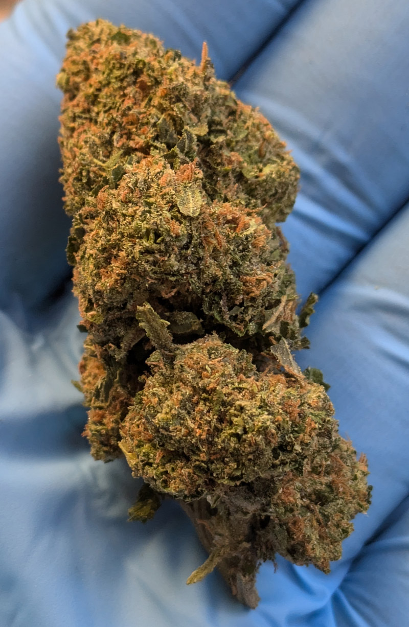Karma OG THCA Flower For Sale