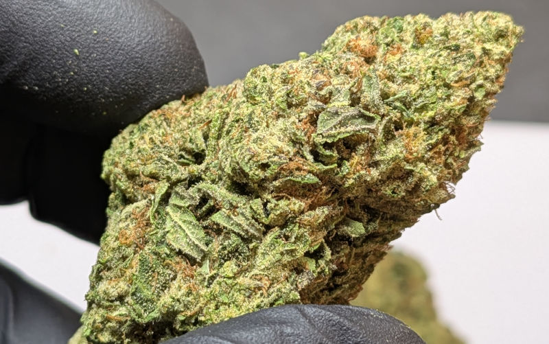 Buy Oreoz THCA Flower