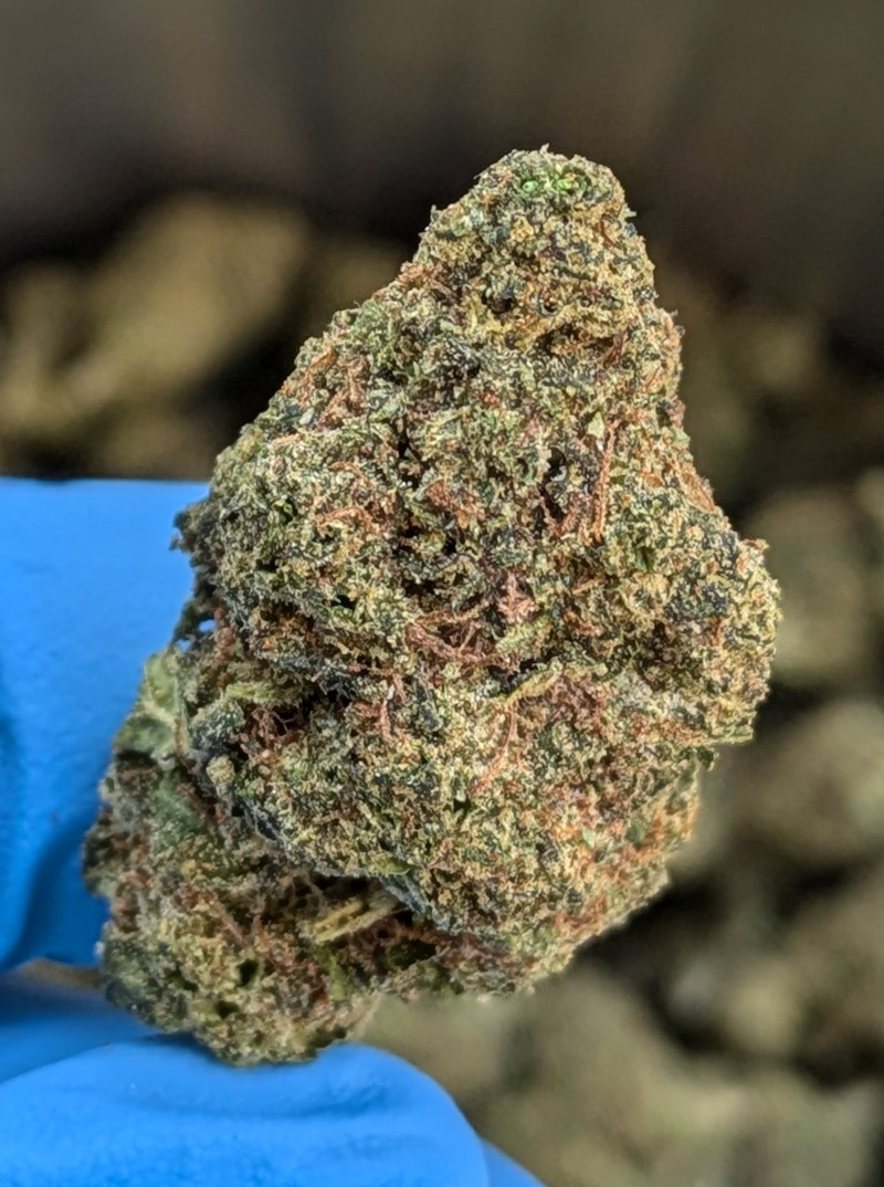 Apple Tartz THCA Flower