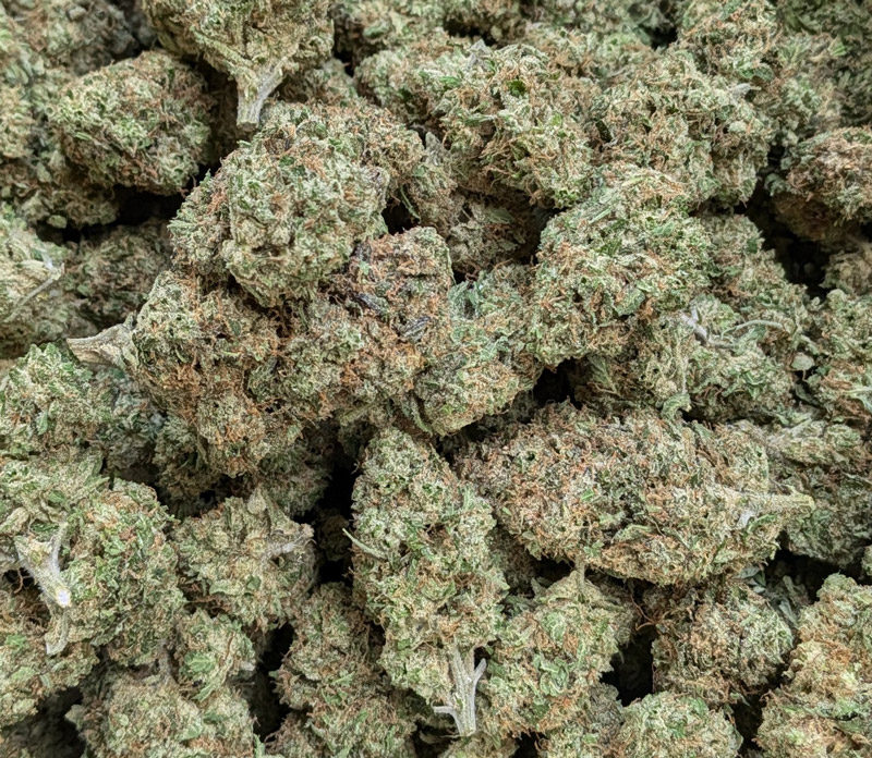 Hash Burger THCA Flower 1LB