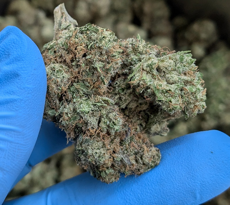 Hash Burger THCA Flower 3.5G, 7G, 28G