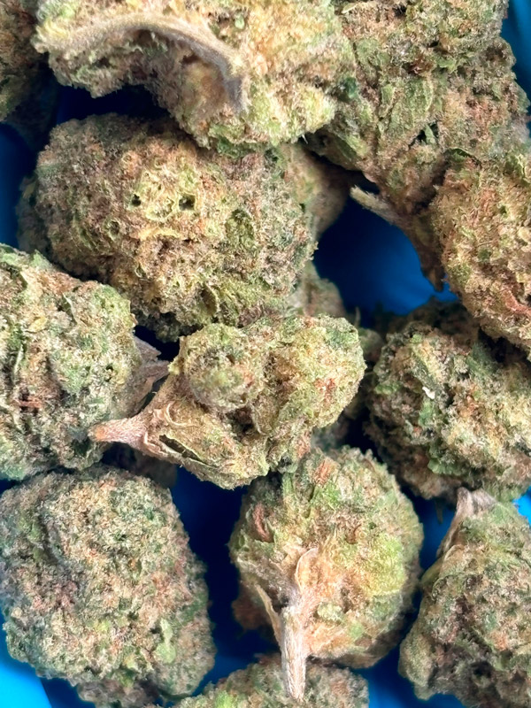 Ghost OG THCA flower b buds
