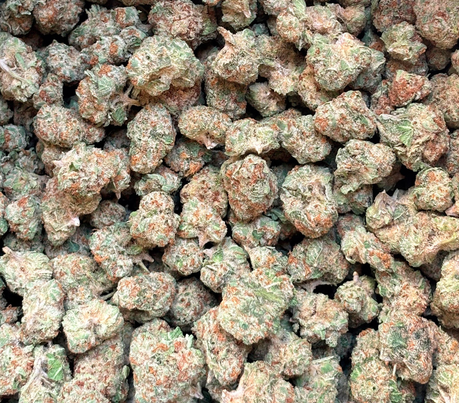 Gush Mintz THCA Flower B buds (sativa leaning) - Image 2