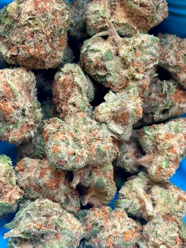 Gush MIntz THCA Flower b buds