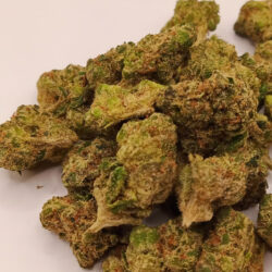 Cherry Runtz THCA Flower B buds (50/50)