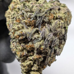 Black Ice AAA Exotic THCA Flower For Sale