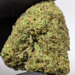 Gumbo THCA Flower triple A Exotic