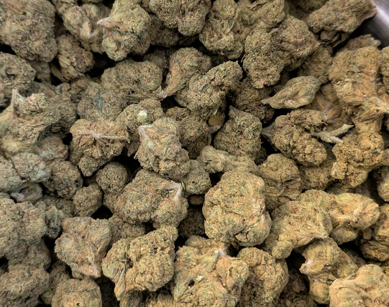 Obama Runtz THCA Flower by the lb