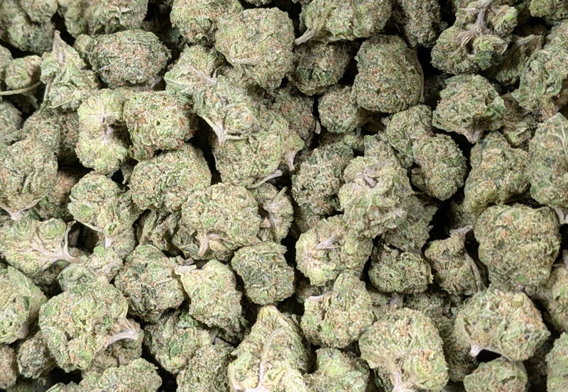 og kush thca flower 1lb
