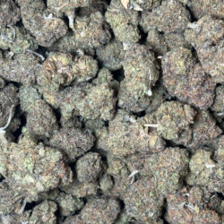 Cali Burger THCA Flower Indica Dominant