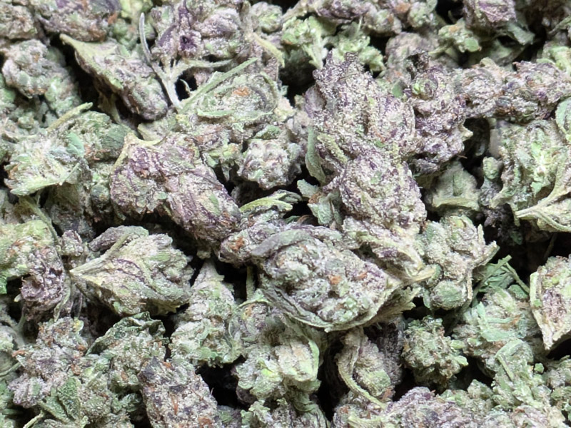 Jelly Cake THCA Flower 28 grams