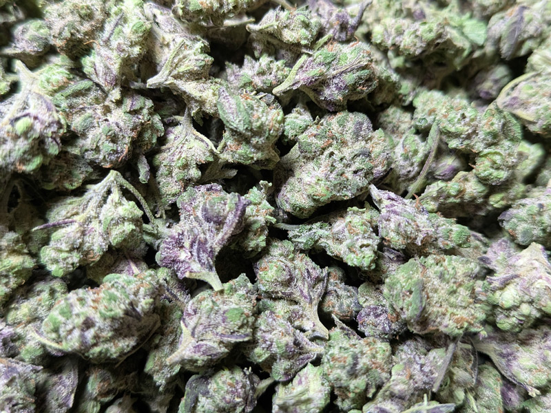 Buy Modified Grapes THCA Flower Exotic B Buds Online
