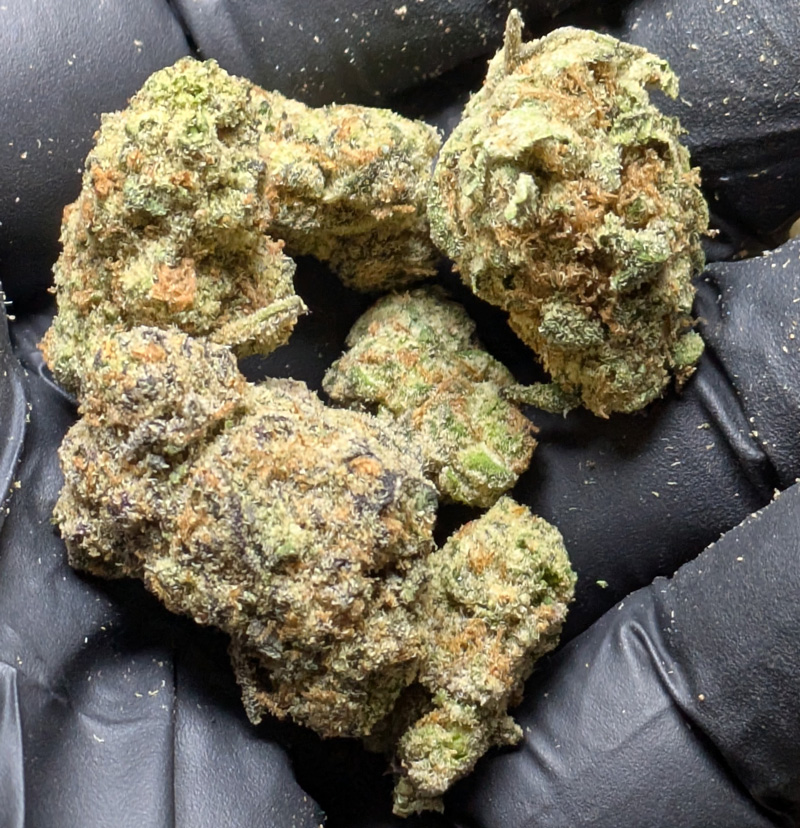 Pink Certz THCA Flower Bud Close up