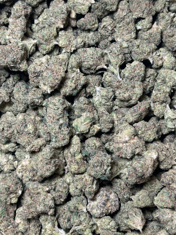 Tangerine Dreams THCA Flower (Sativa dominant) - Image 2