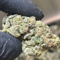 Wedding cake thca flower 1g bud