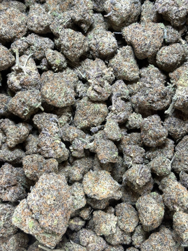 Buy gorilla glue by the lb