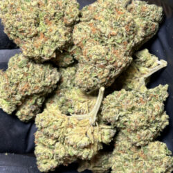 Ice Cream Cake Indica Dominant THCA Flower