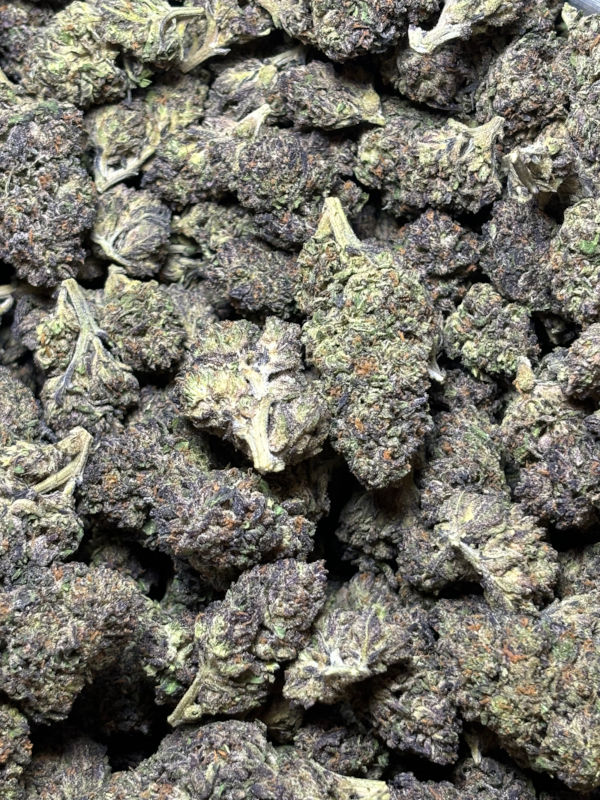 Buy purple reign thca flower now by lb