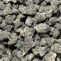 GMO THCA Flower Indica Dominant