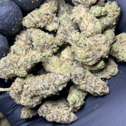 Amaretto Mintz Indica Dominant THCA Flower