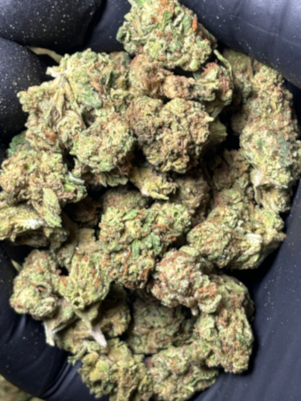 Blueberry punch 7g available now