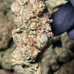 Cereal Milk Hybrid THCA Flower