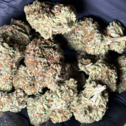 Cereal Milk Hybrid THCA Flower
