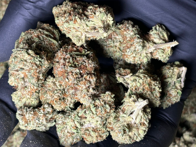 cereal milk 7g available now